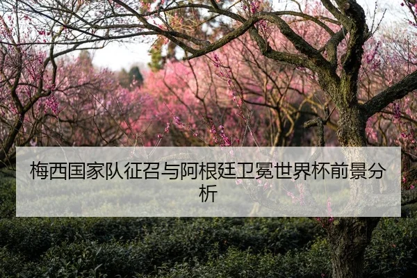 梅西国家队征召与阿根廷卫冕世界杯前景分析
